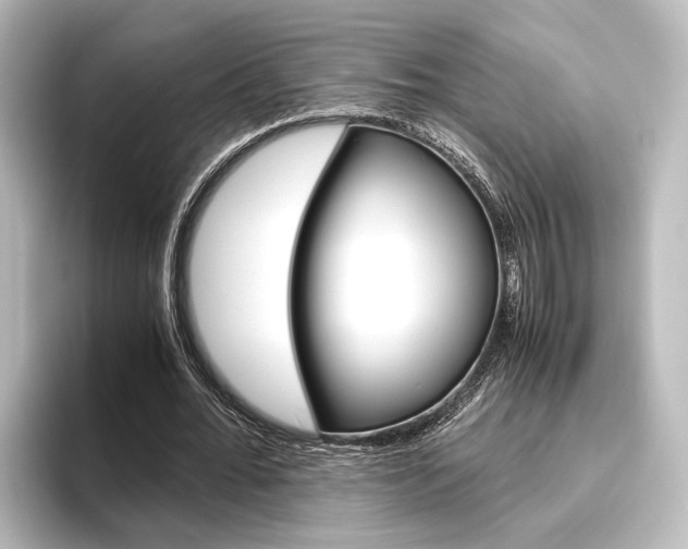 X0000096420676200801241004