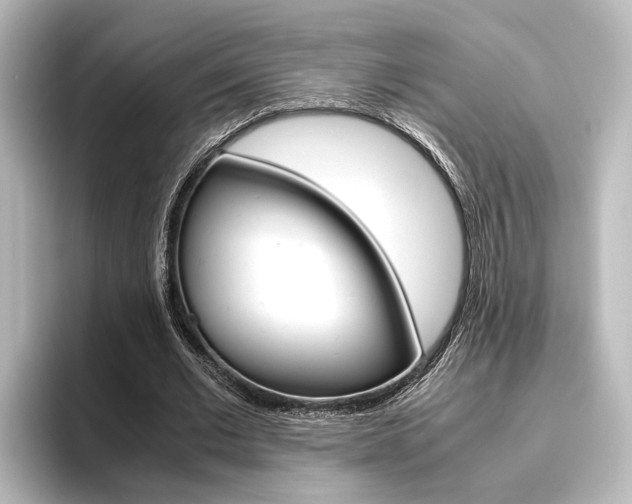 X0000096420677200801241004