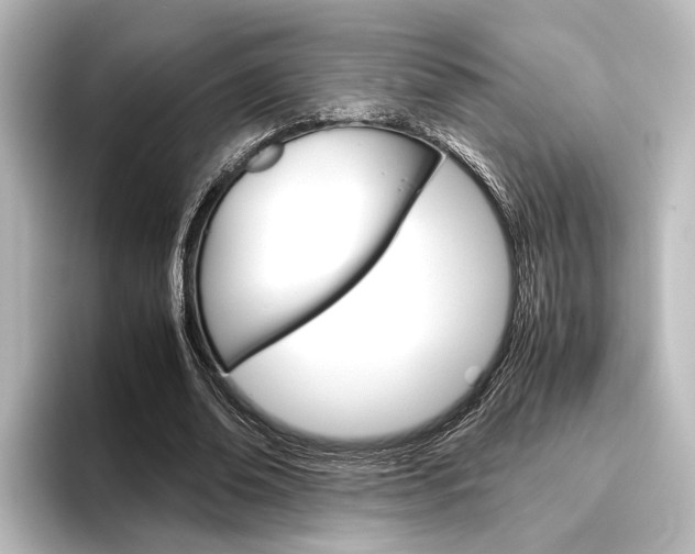 X0000096420678200801241004