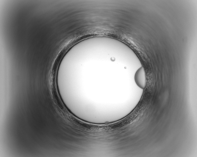 X0000096420679200801241004