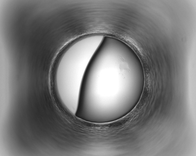 X0000096420680200801241004