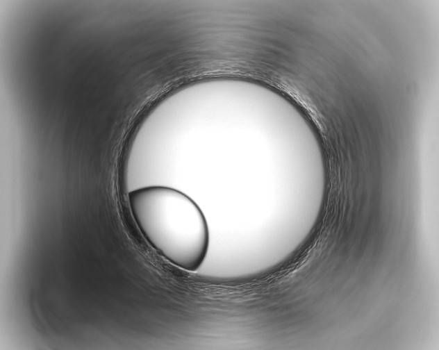 X0000096420681200801241004
