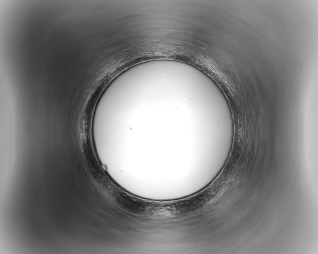 X0000096420683200801241004