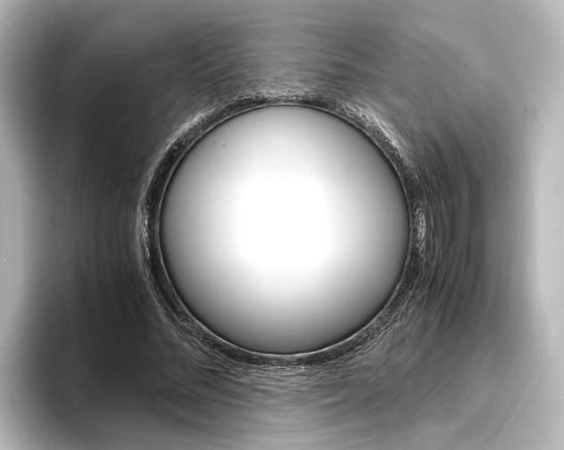 X0000096420684200801241004