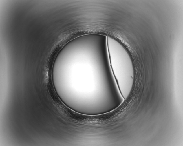 X0000096420685200801241004