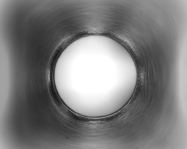 X0000096420686200801241004