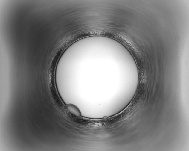 X0000096420687200801241004