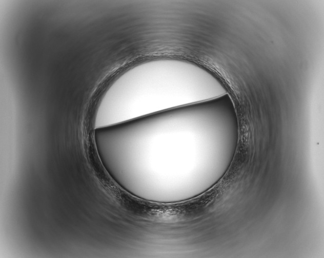 X0000096420688200801241004
