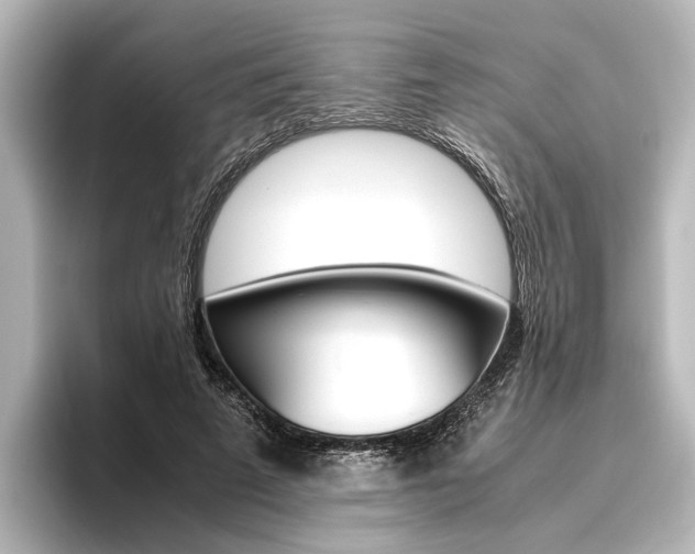 X0000096420689200801241004