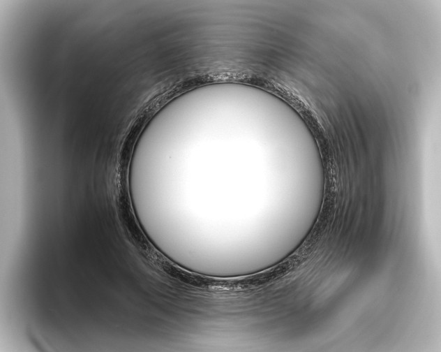 X0000096420690200801241004