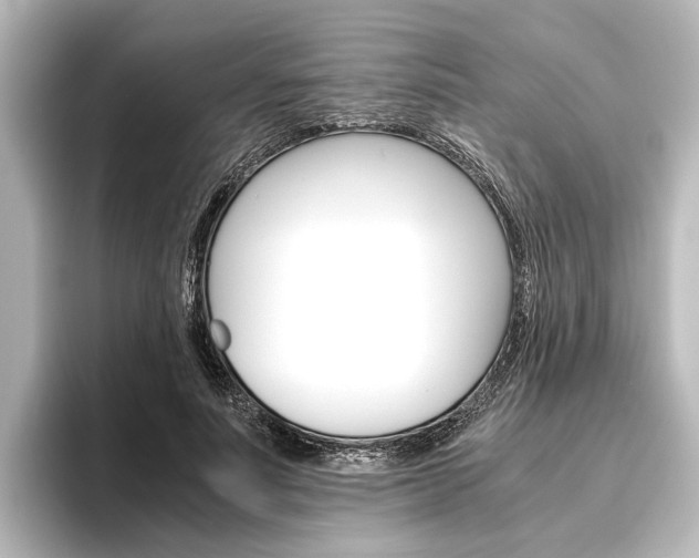 X0000096420691200801241004
