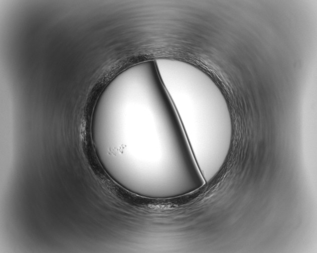 X0000096420693200801241004