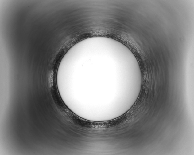 X0000096420694200801241004