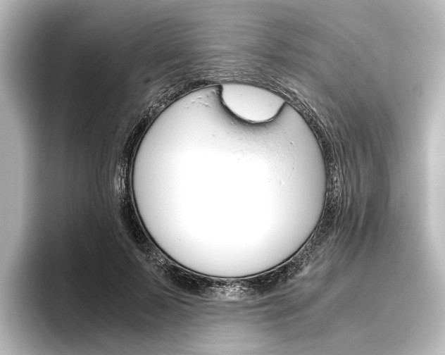X0000096420695200801241004