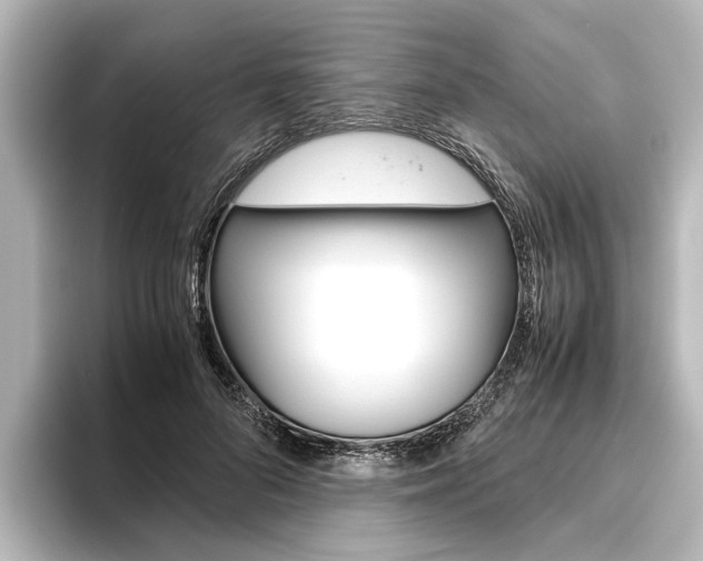 X0000096420696200801241004