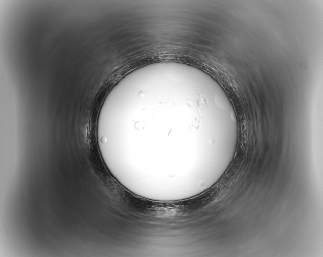 X0000096420698200801241004