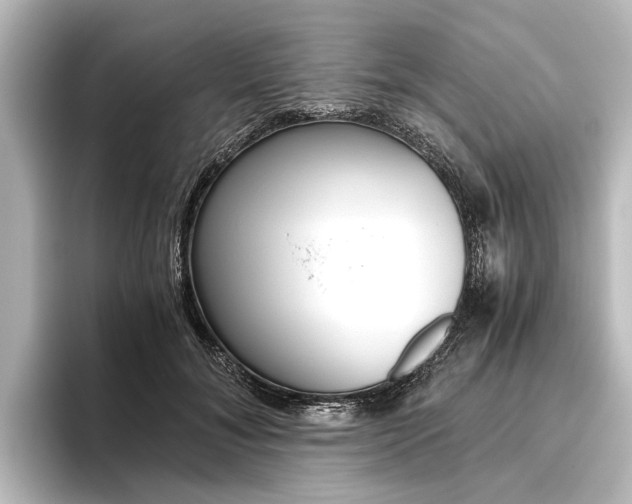 X0000096420700200801241004