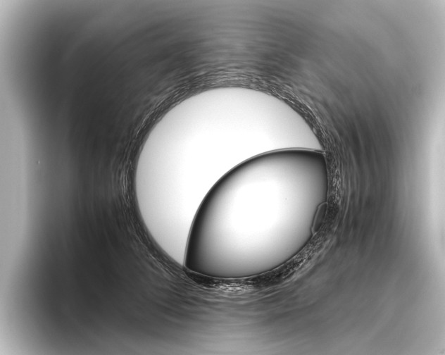 X0000096420708200801241003