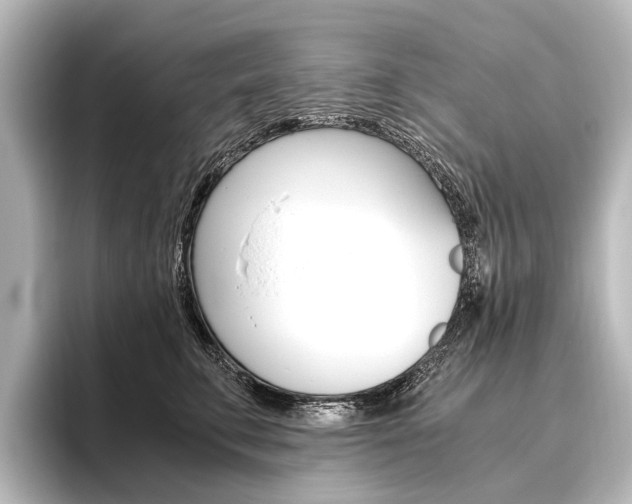X0000096420711200801241003