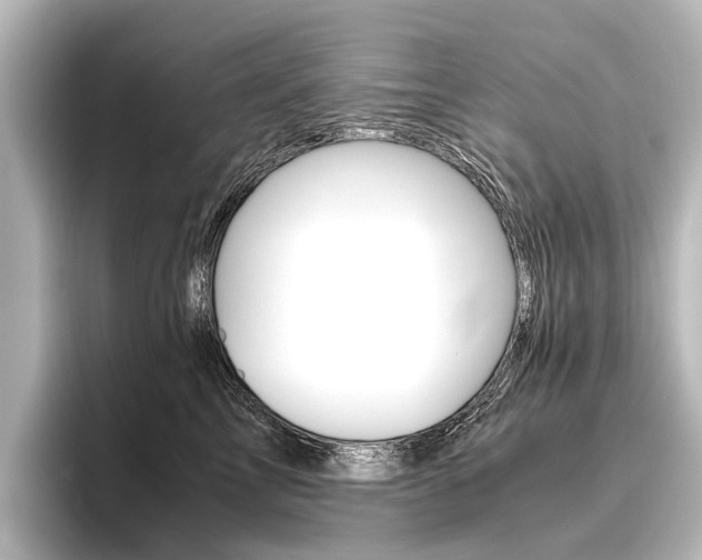 X0000096420713200801241003