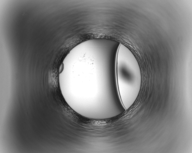 X0000096420719200801241003