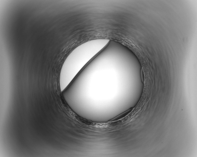 X0000096420720200801241003