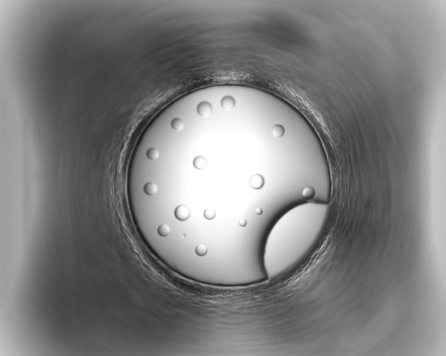 X0000096420721200801241003