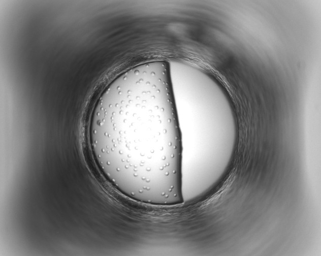 X0000096420725200801241003