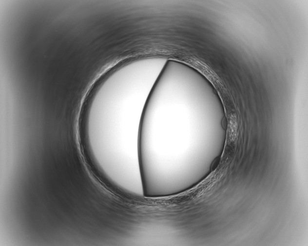 X0000096420726200801241003