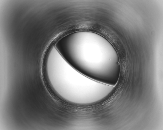 X0000096420728200801241003
