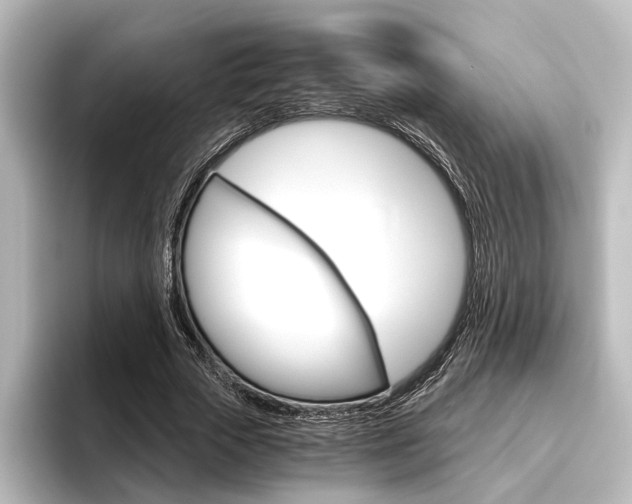 X0000096420729200801241003
