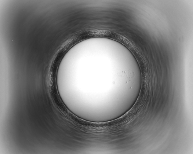 X0000096420731200801241003