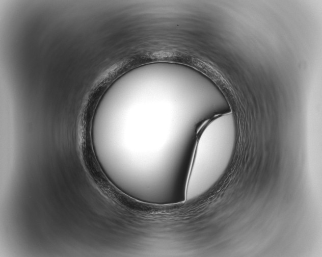 X0000096420732200801241003