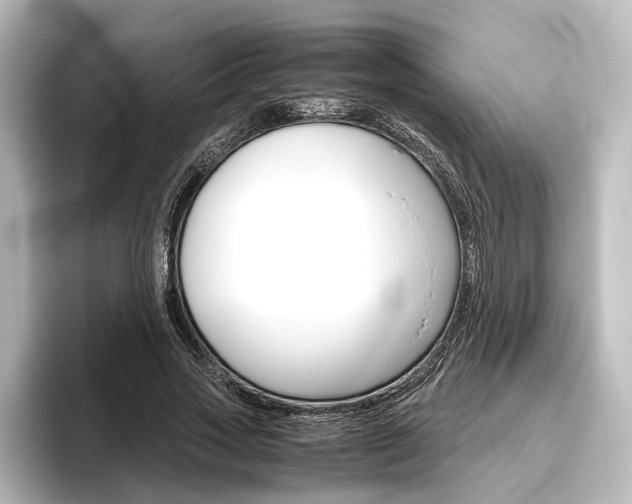 X0000096420733200801241003