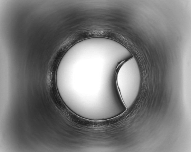 X0000096420735200801241003