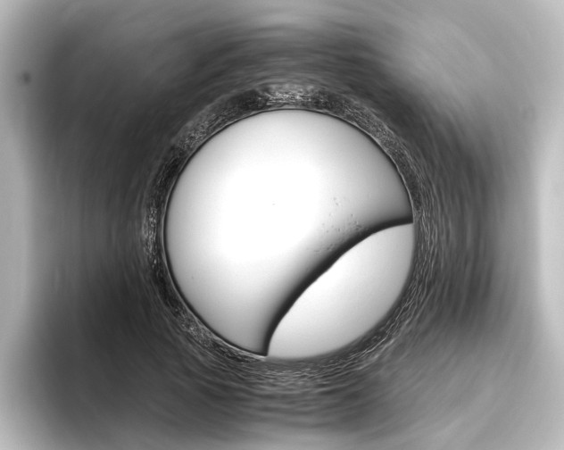 X0000096420737200801241003