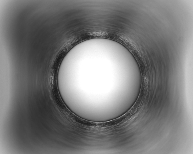 X0000096420739200801241003