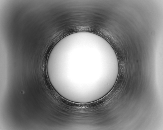 X0000096420741200801241003