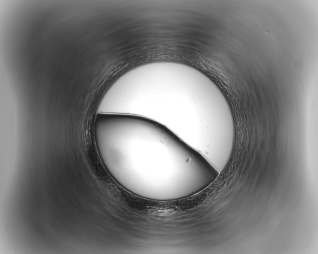 X0000096420743200801241003