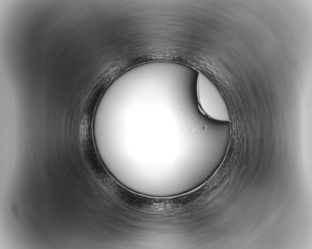 X0000096420744200801241003