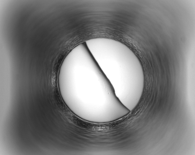 X0000096420745200801241003