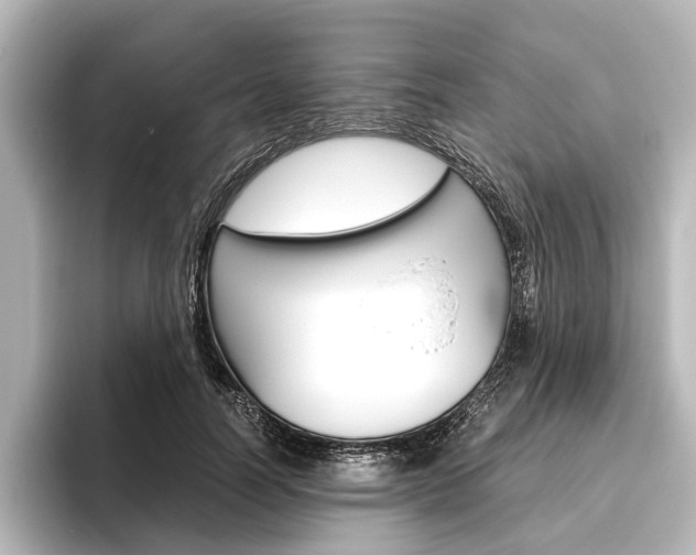 X0000096420746200801241003