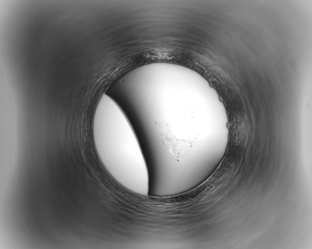 X0000096420747200801241003