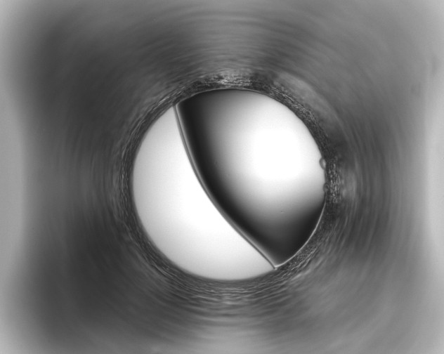 X0000096420748200801241003