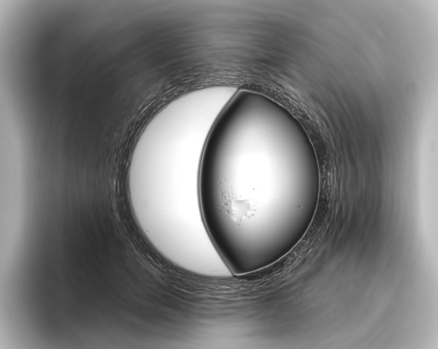 X0000096420750200801241003