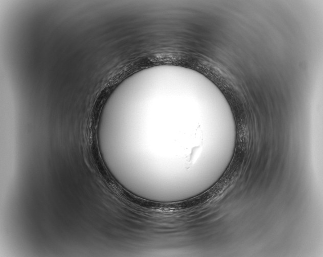 X0000096420751200801241003