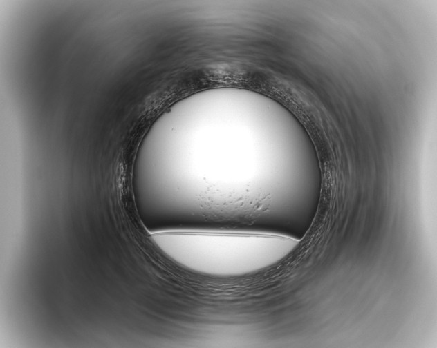 X0000096420752200801241003