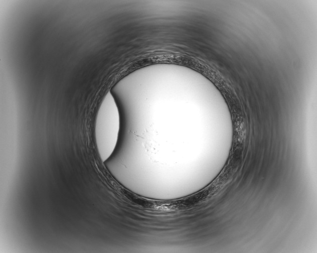 X0000096420753200801241003