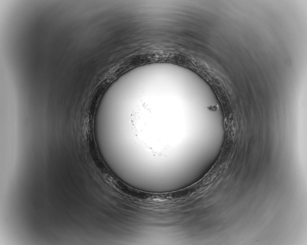 X0000096420756200801241003