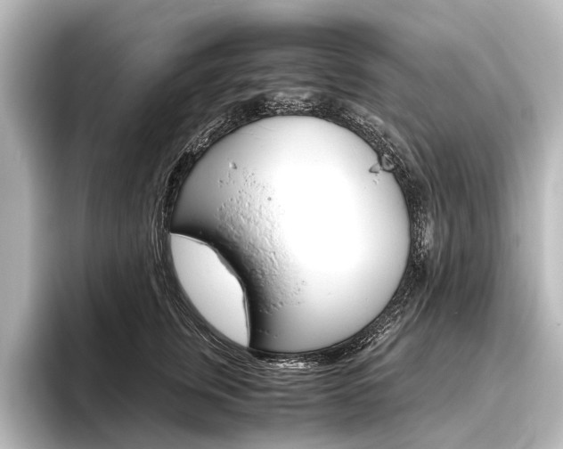 X0000096420759200801241003